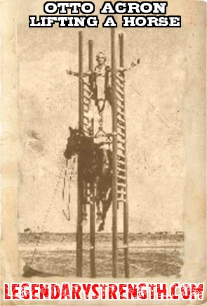 Otto Acron lifting a horse up a ladder