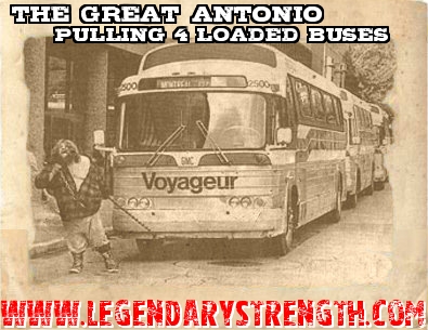The Great Antonio - pulling four city buses loaded with passengers