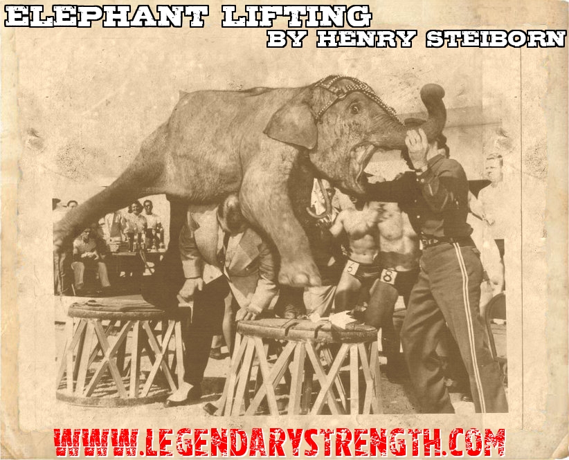 The 880 pounds elephant doesn't look too happy, but Henry lifted it nonetheless