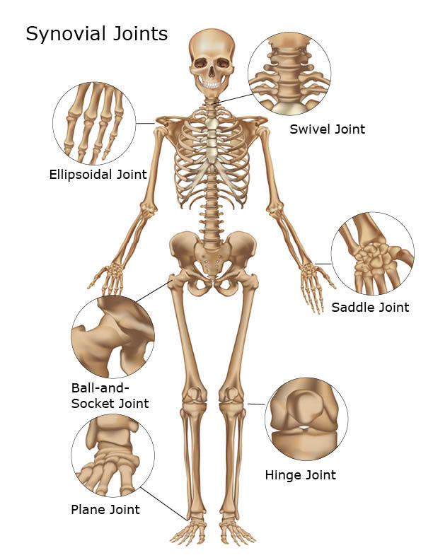 joint-strength-how-to-build-it-and-avoid-injury-legendary-strength