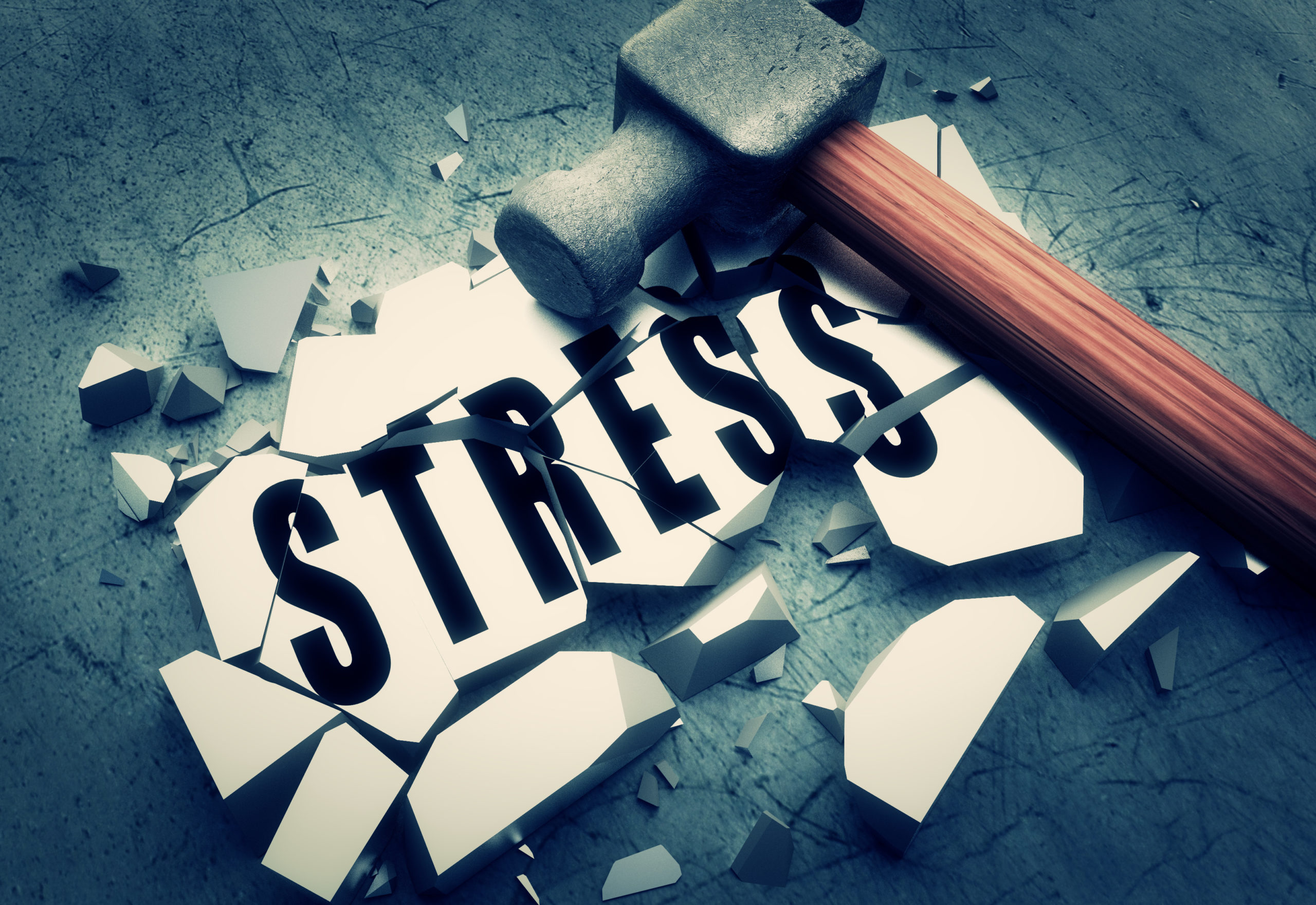Muscle Stress vs. Nervous Stress vs. Endocrine Stress